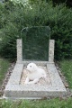 Hond met glas